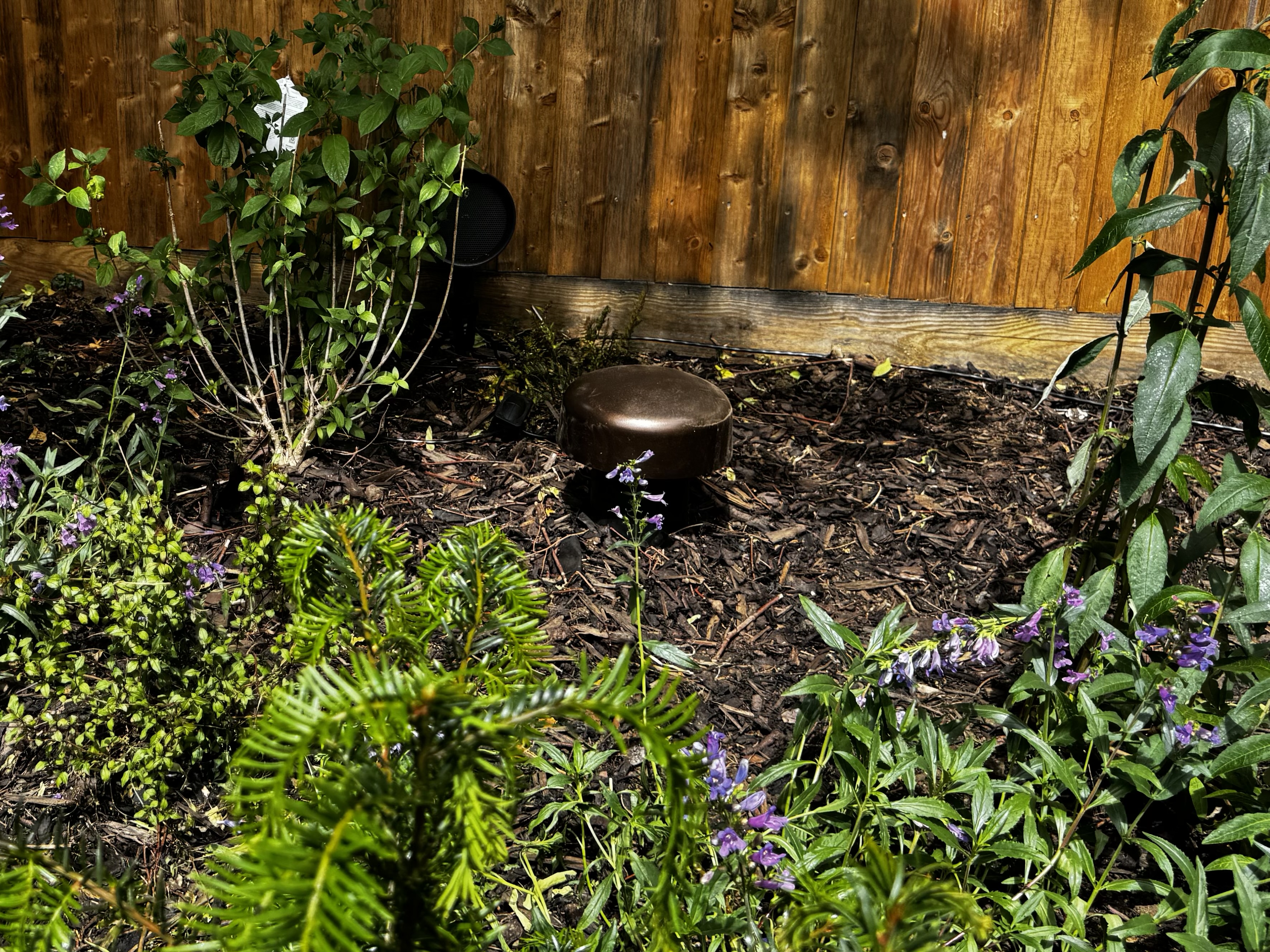 Origin Acoustic landscape speaker nestled in a garden border